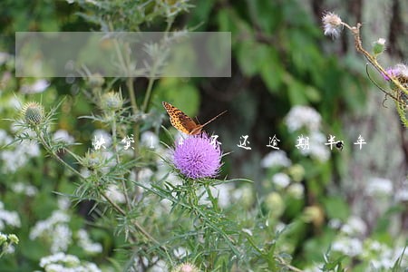 快贷14不还逾期半年 快贷14不还逾期半年