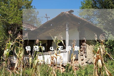 快贷14天逾期 快贷14天逾期