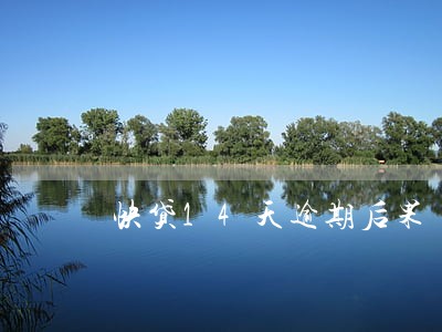 快贷14天逾期后果