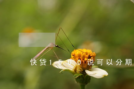 快贷1500说可以分期逾期了 快贷1500说可以分期逾期了
