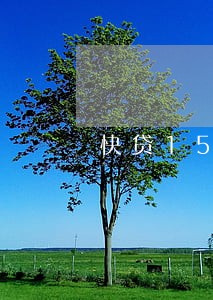 快贷1500逾期一个月会上门吗 快贷1500逾期一个月会上门吗