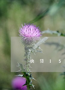快贷1500逾期会上门催收吗 快贷1500逾期会上门催收吗