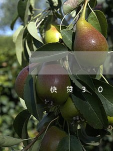 快贷3000还2期逾期催收 快贷3000还2期逾期催收