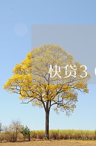 快贷3000逾期不的后果 快贷3000逾期不的后果