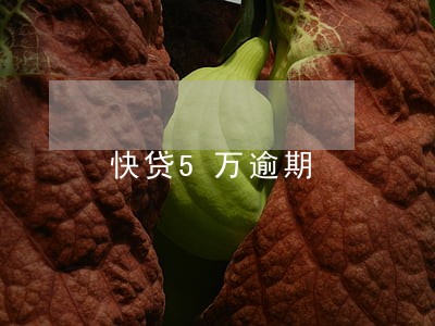 快贷5万逾期