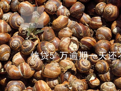 快贷5万逾期一天还不起 快贷5万逾期一天还不起