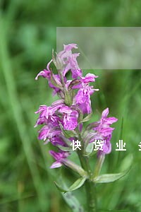 快贷业务还款逾期5天 快贷业务还款逾期5天