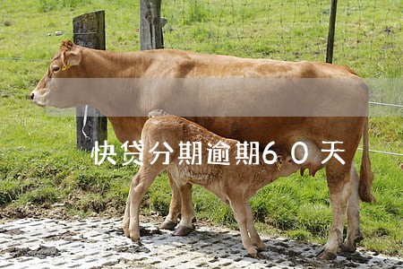 快贷分期逾期60天 快贷分期逾期60天