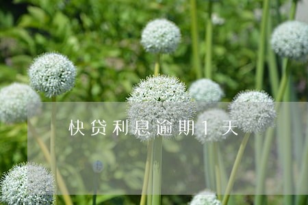 快贷利息逾期1天 快贷利息逾期1天