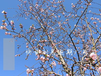 快贷利息逾期1天还