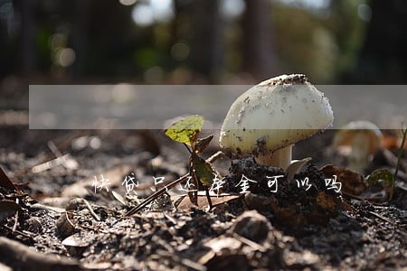 快贷只还本金可以吗 快贷只还本金可以吗