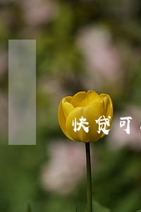 快贷可以只还本金吗 快贷可以只还本金吗