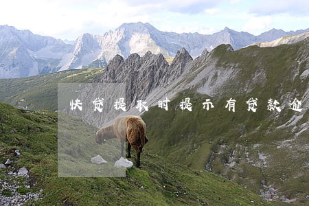快贷提取时提示有贷款逾期 快贷提取时提示有贷款逾期