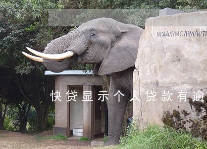 快贷显示个人贷款有逾期记录 快贷显示个人贷款有逾期记录