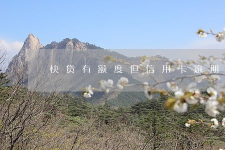快贷有额度但信用卡逾期能贷吗 快贷有额度但信用卡逾期能贷吗