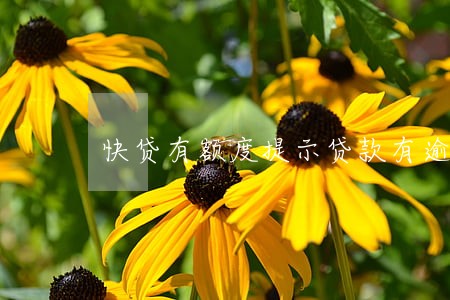 快贷有额度提示贷款有逾期 快贷有额度提示贷款有逾期
