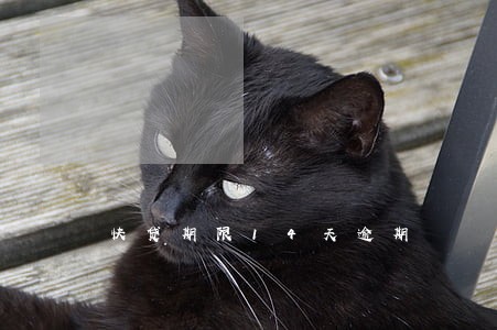 快贷期限14天逾期 快贷期限14天逾期
