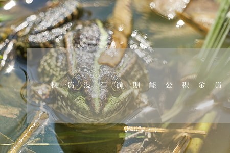 快贷没有逾期能公积金贷款吗 快贷没有逾期能公积金贷款吗