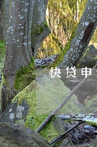 快贷申请说信用卡当前逾期 快贷申请说信用卡当前逾期