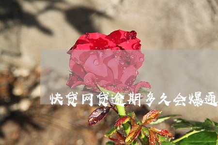 快贷网贷逾期多久会爆通讯录 快贷网贷逾期多久会爆通讯录