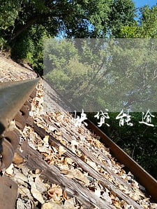 快贷能逾期20天吗 快贷能逾期20天吗