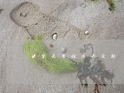 快贷说有信用卡逾期