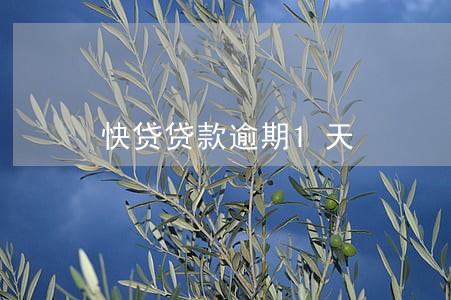 快贷贷款逾期1天 快贷贷款逾期1天