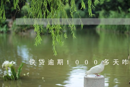 快贷逾期1000多天咋办
