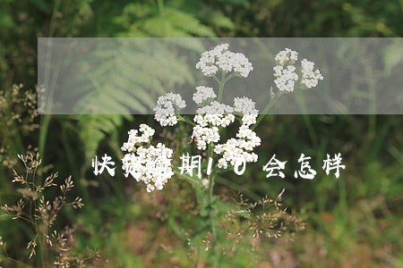 快贷逾期10会怎样 快贷逾期10会怎样