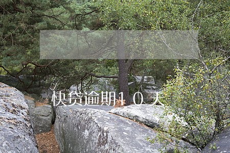 快贷逾期10天 快贷逾期10天