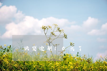 快贷逾期10天了 快贷逾期10天了