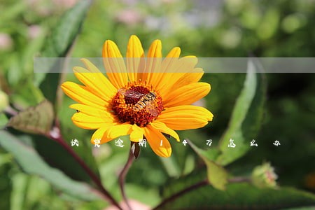 快贷逾期14万怎么办 快贷逾期14万怎么办