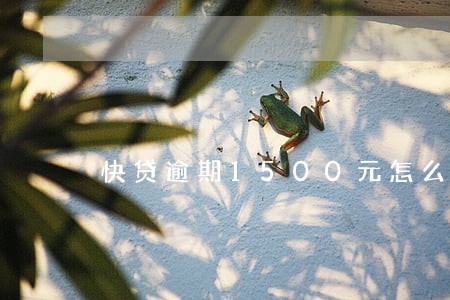 快贷逾期1500元怎么办 快贷逾期1500元怎么办