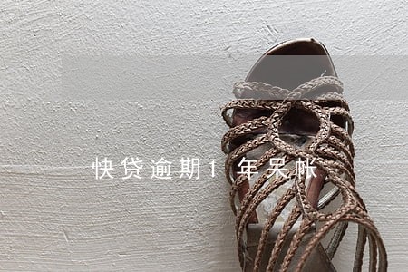 快贷逾期1年呆帐 快贷逾期1年呆帐