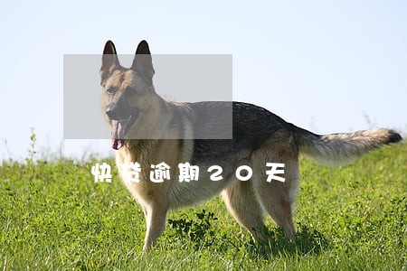 快贷逾期20天 快贷逾期20天