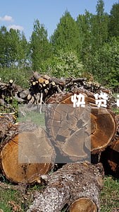 快贷逾期2500 快贷逾期2500