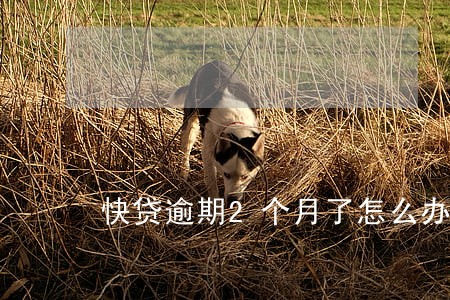 快贷逾期2个月了怎么办 快贷逾期2个月了怎么办