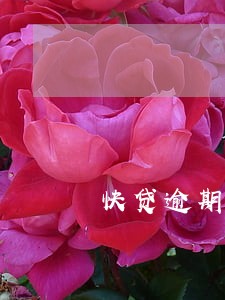 快贷逾期2年没还上 快贷逾期2年没还上