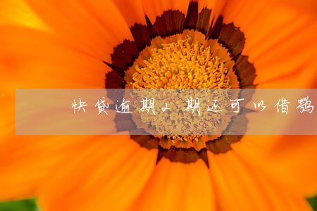 快贷逾期2期还可以借嘛 快贷逾期2期还可以借嘛