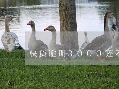 快贷逾期3000还不上 快贷逾期3000还不上