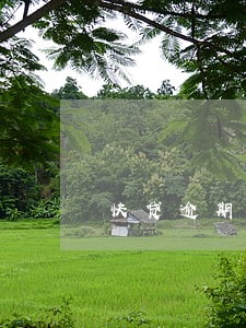 快贷逾期3年又悲催收