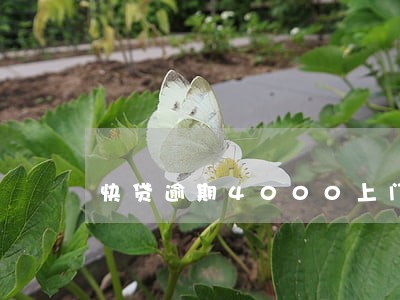 快贷逾期4000上门吗
