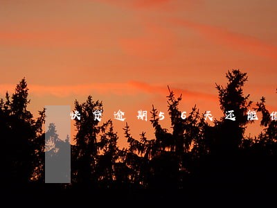 快贷逾期56天还能借吗 快贷逾期56天还能借吗