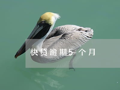 快贷逾期5个月 快贷逾期5个月