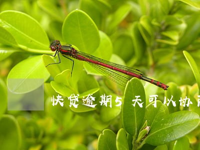 快贷逾期5天可以协商分期吗 快贷逾期5天可以协商分期吗