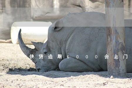 快贷逾期6000会上门催收吗 快贷逾期6000会上门催收吗