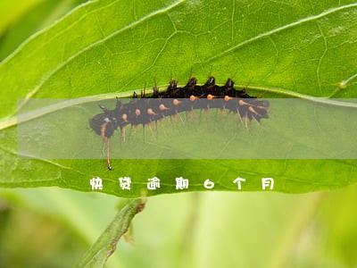 快贷逾期6个月 快贷逾期6个月