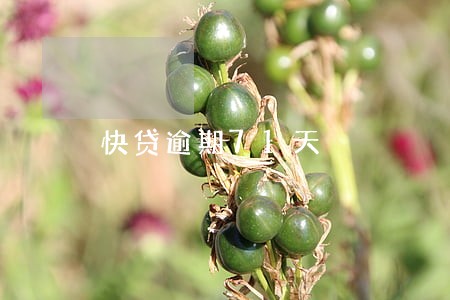 快贷逾期71天 快贷逾期71天
