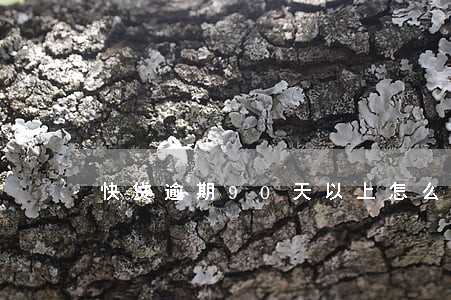 快贷逾期90天以上怎么处理 快贷逾期90天以上怎么处理