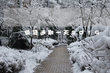 快贷逾期一天2019 快贷逾期一天2019